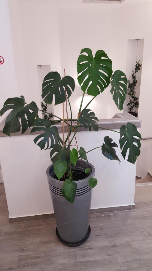 Centar Vodice Apartmani Екстериор снимка
